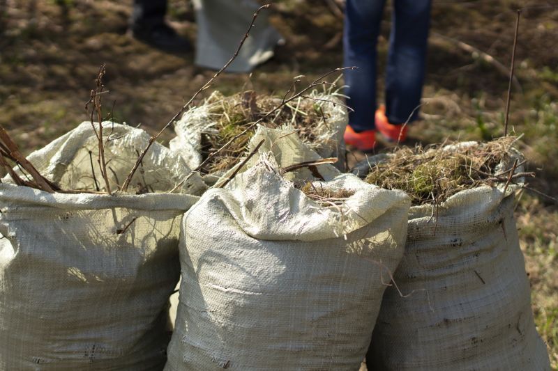 Junk Hauling Service detail